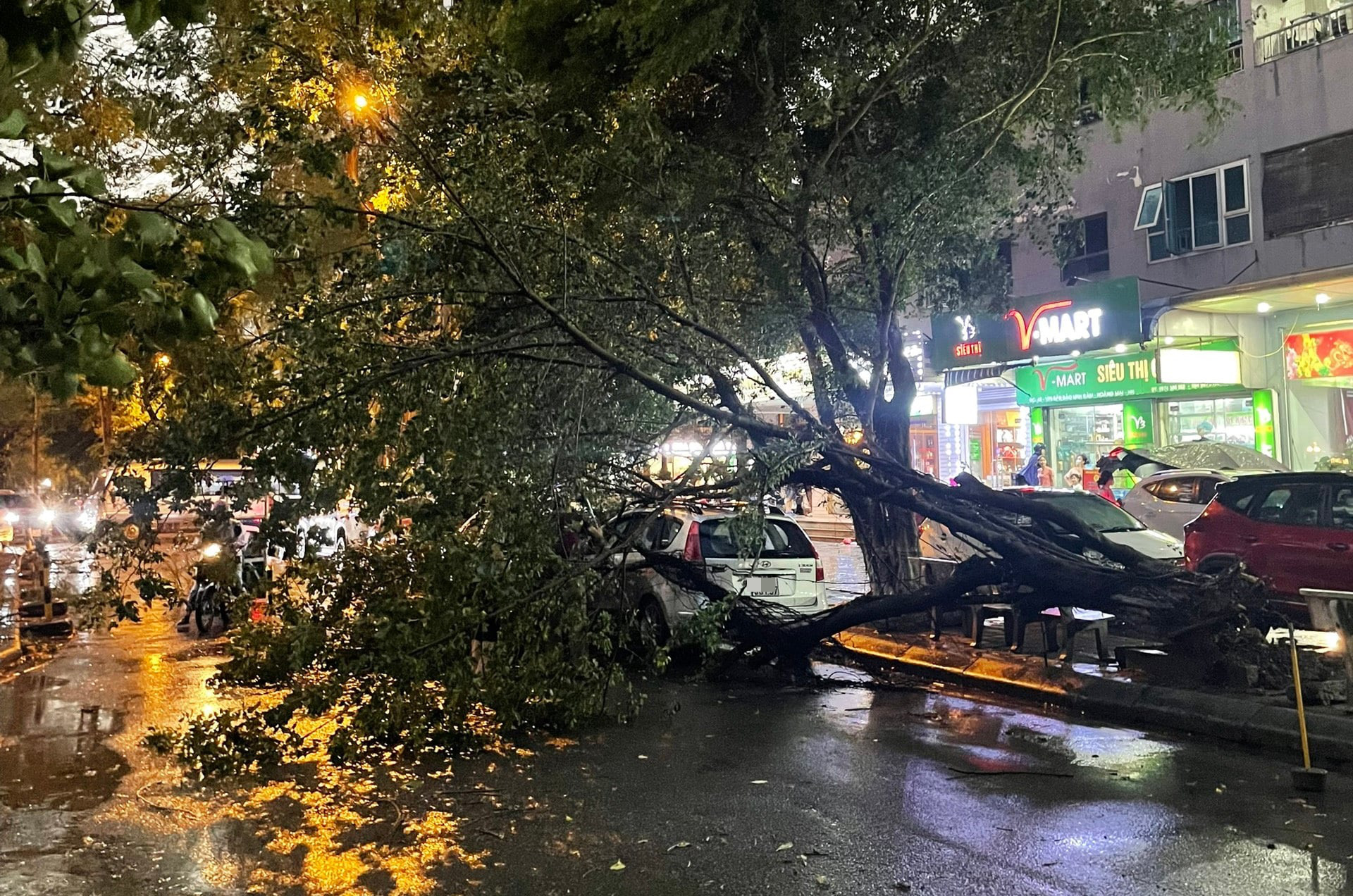 Một cây ở khu Linh Đàm (Hoàng Mai, Hà Nội) đổ vào xe ôtô trong cơn mưa dông - Ảnh: NGUYỄN VĂN LINH Một cây ở khu Linh Đàm (Hoàng Mai, Hà Nội) đổ vào xe ôtô trong cơn mưa dông - Ảnh: NGUYỄN VĂN LINH