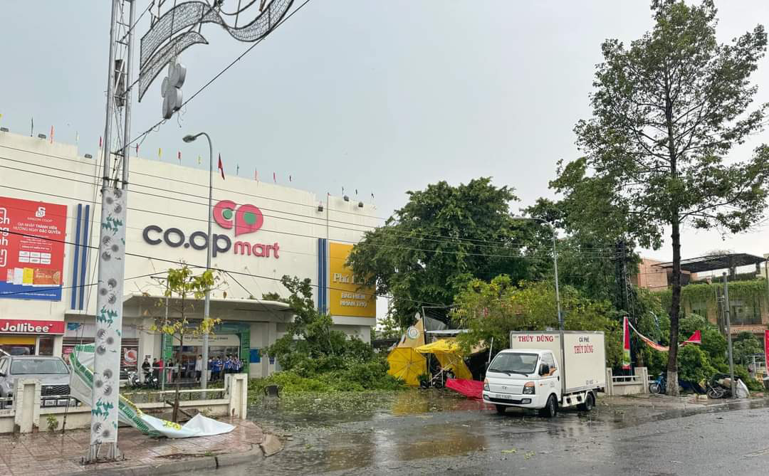 Cây xanh ở An Giang gãy đổ hàng loạt trong cơn mưa lớn- Ảnh 2. Cây da cổ thụ tại siêu thi Co.opmart Châu Đốc bị gãy, tét nhánh - Ảnh: Page TP Châu Đốc