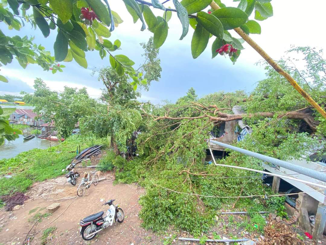 Cây xanh ở An Giang gãy đổ hàng loạt trong cơn mưa lớn- Ảnh 6. Nhà dân bị hư hỏng sau khi bị cây gãy đè trúng - Ảnh: Page TP Châu Đốc