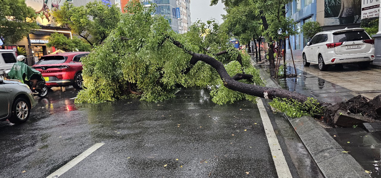 TP.HCM mưa ngập khắp nơi, đường trung tâm Lê Lợi mênh mông nước- Ảnh 11. TP.HCM mưa ngập khắp nơi, đường trung tâm Lê Lợi mênh mông nước- Ảnh 11.