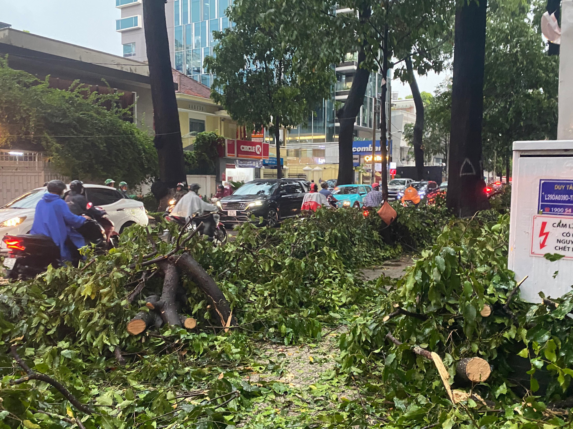 Mây dông đang phát triển mạnh sẽ gây mưa cho TP.HCM đêm nay, một vài nơi mưa to. Trong mưa có thể kèm theo dông sét gió mạnh gây gãy đổ cây xanh - Ảnh: TƯỜNG VI