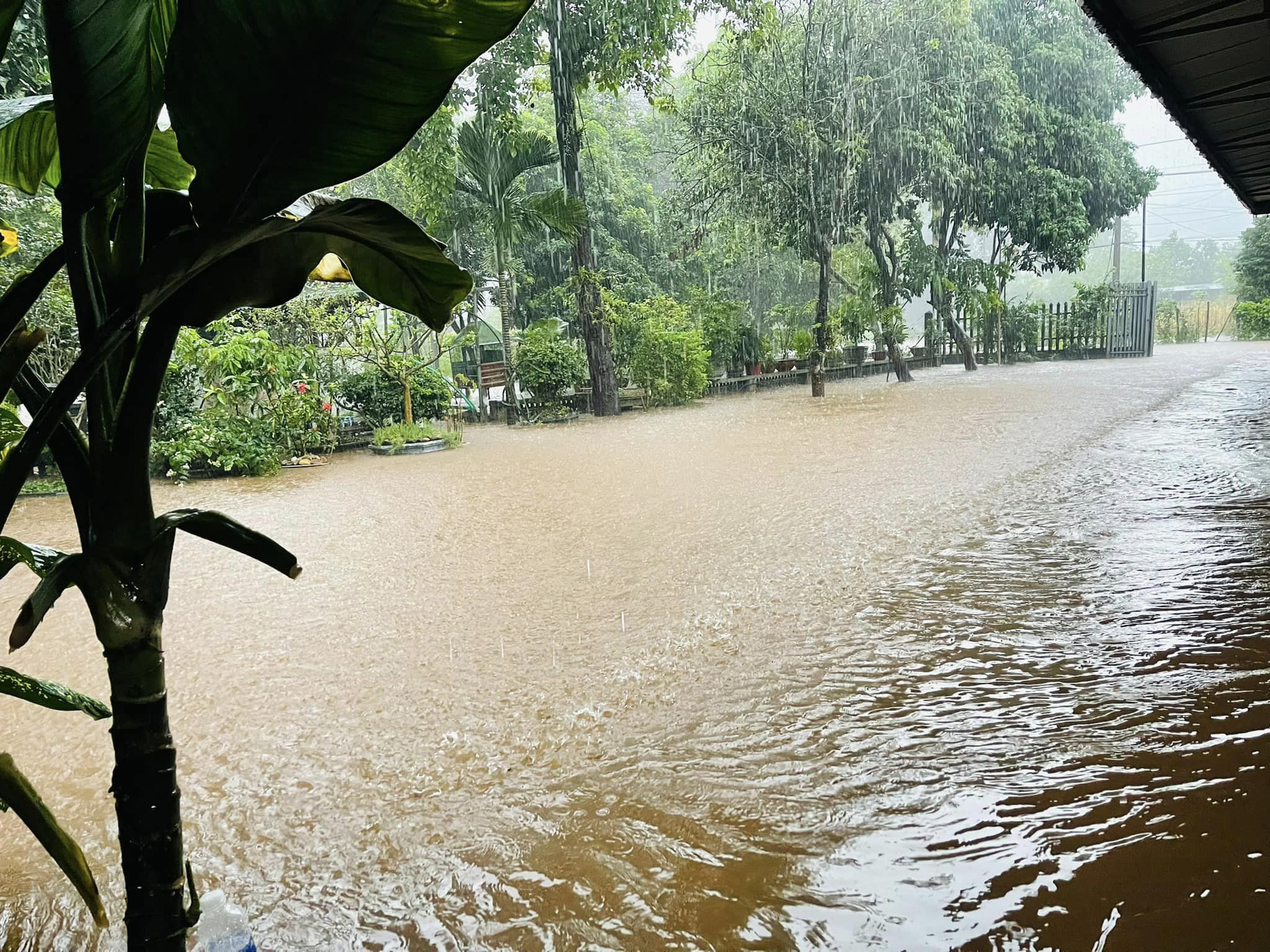 Hà Giang lại mưa lớn, nhiều nơi ngập úng- Ảnh 5. Mưa lớn gây ngập úng ở huyện Vị Xuyên - Ảnh: N. HOÀN