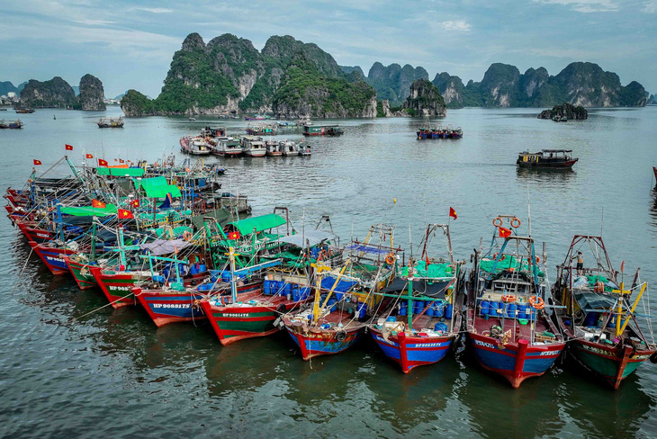 Tháng 7, khả năng xuất hiện 1-2 cơn bão, áp thấp nhiệt đới ảnh hưởng tới đất liền- Ảnh 1. Tàu thuyền ở Quảng Ninh neo đậu trong vịnh Hạ Long để tránh trú cơn bão số 1 năm 2023 - Ảnh: NGUYỄN KHÁNH