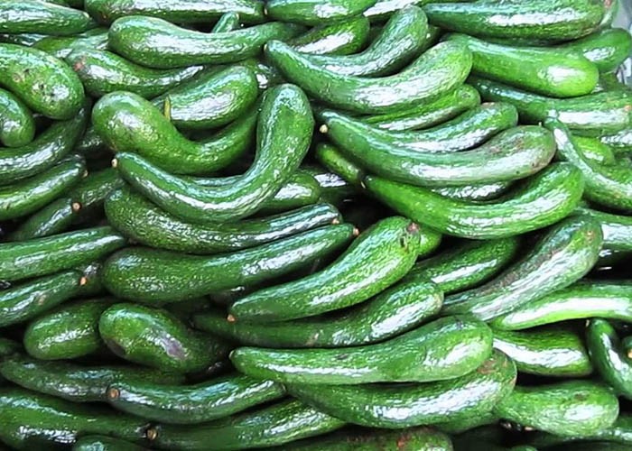 Giá nông sản hôm nay ngày 1/7/2024: Giá tiêu ổn định ở mức 157.000 đồng/kg; giá bơ 034 thấp kỷ lục Giá nông sản hôm nay ngày 1/7/2024: Giá tiêu ổn định ở mức 157.000 đồng/kg; giá bơ 034 thấp kỷ lục