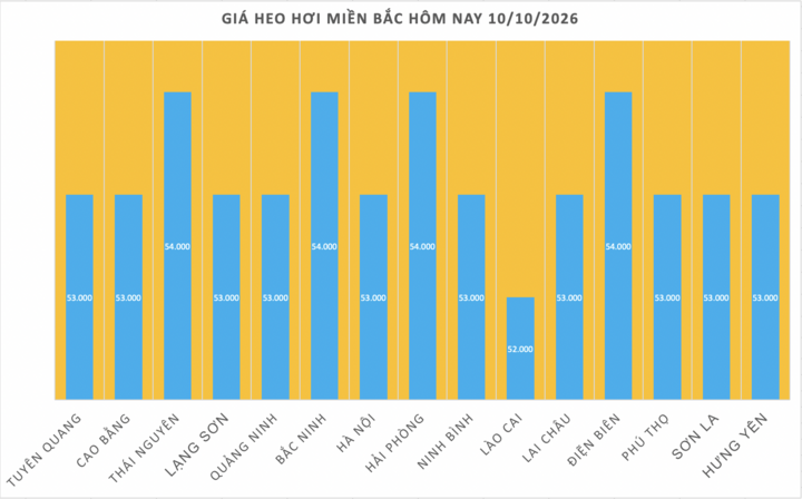 Giá heo hơi hôm nay 10/10/2026: Biến động trái chiều - 1