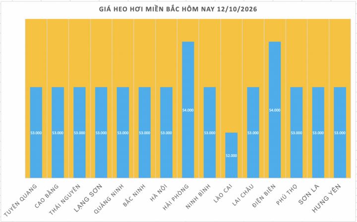 Giá heo hơi hôm nay 12/10/2026: Biến động trái chiều - 1