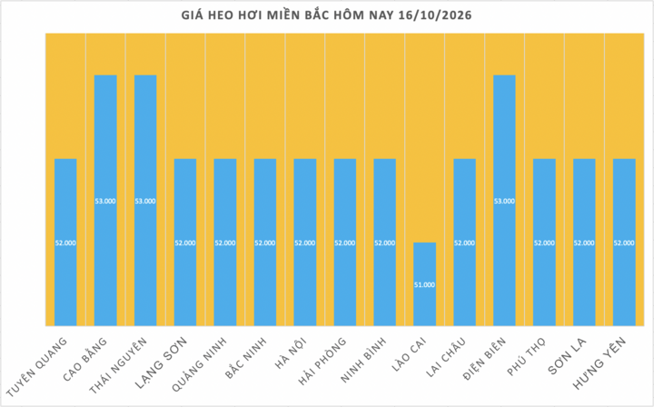 Giá heo hơi hôm nay 16/10/2026: Nối đà giảm cục bộ - 1
