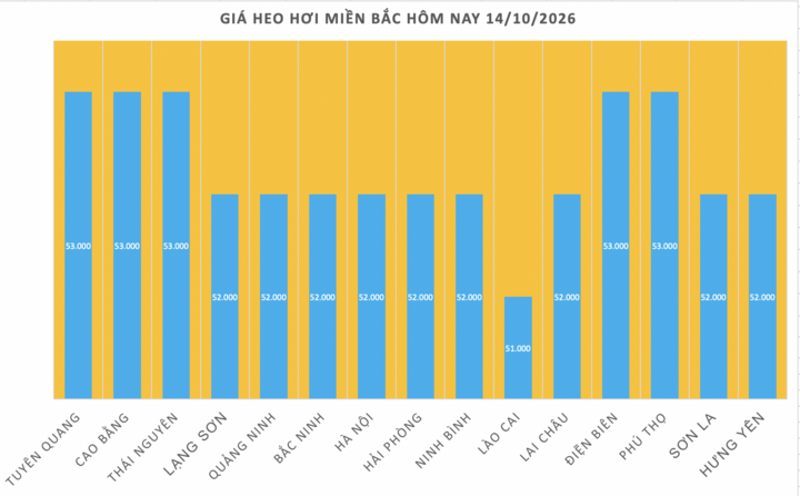 Giá heo hơi miền Bắc hôm nay 14/10/2026
