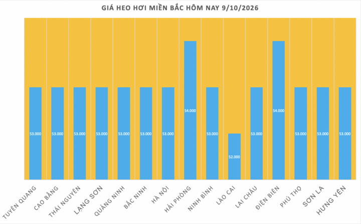 Giá heo hơi hôm nay 9/10/2026: Giảm mạnh 1.000 - 2.000 đồng/kg - 1